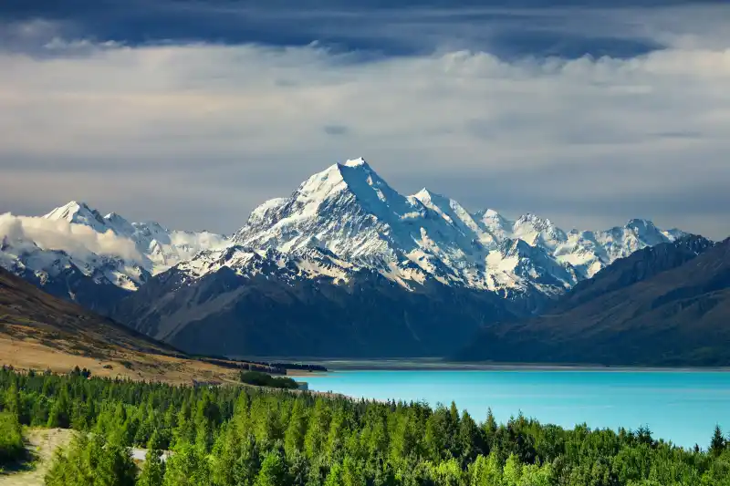 The Ultimate Guide to New Zealand Tours