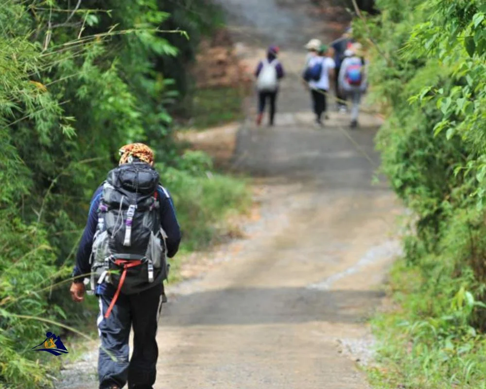 Embarking on the Trail: Vietnam’s Exquisite Hiking Tours
